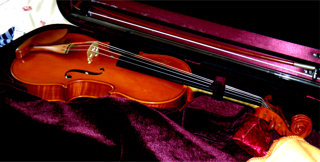 Rudolf Pilsel Hand crafted Violin